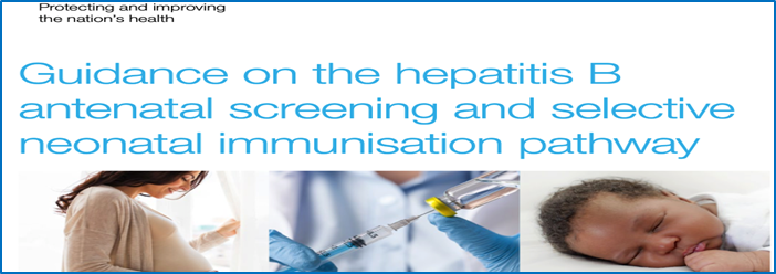 neonatal Hep B pathway