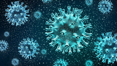 Flu Season